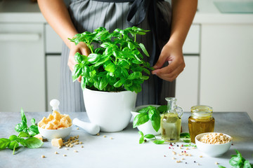 Woman in style apron holding pot with fresh organic basil, white kitchen interior design. Copy...