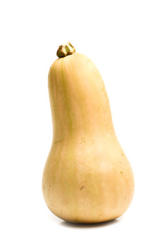 Calabaza zapallo sobre un fondo blanco liso y aislado. Vista de frente y de cerca. Formato vertical