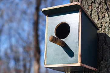 Wooden birdhouse hanging