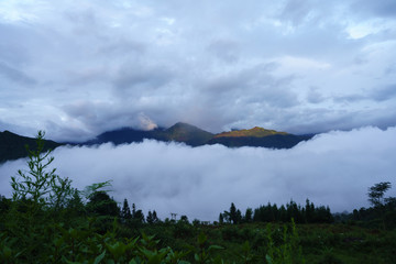 Terraced rice field landscape in harvesting season with low clouds in Y Ty, Bat Xat district, Lao Cai, north Vietnam