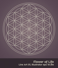 buddhism chakra illustration: Flower of Life Simple