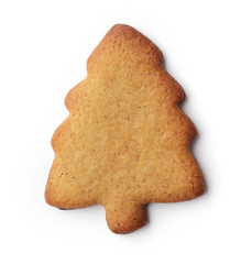 christmas gingerbread cookie