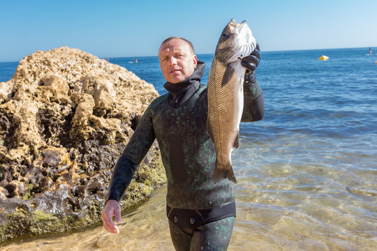 Underwater hunter shows catch. Portuguese robalo.