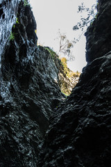 Wilder Bach, Felsen und Bäume