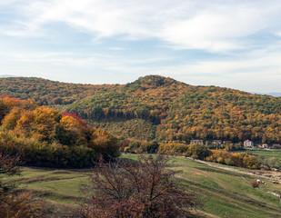 Fototapeta premium Autumn Forest on the outskirts of rural towns in Transylvania, Romania