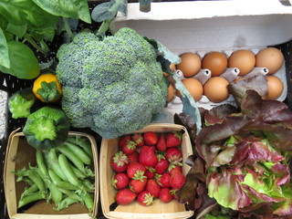 Farm Fresh3