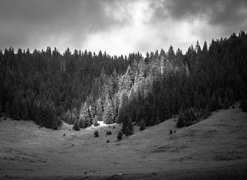 Fototapeta Black and white lanscape photo in Carpathian Mountains.