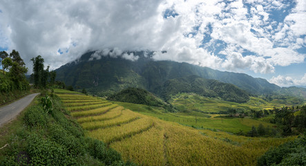 Fototapeta premium Terraced rice field landscape of Y Ty, Bat Xat district, Lao Cai, north Vietnam