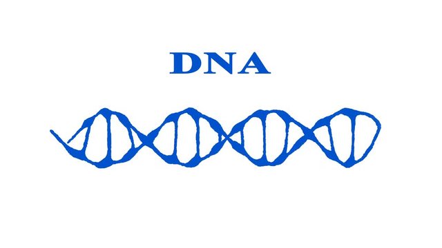 Animated DNA chain