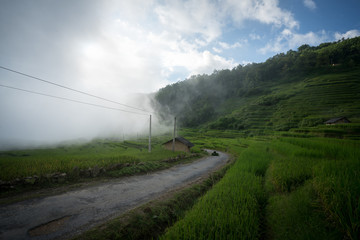 Fototapeta na wymiar Terraced rice field landscape with low clouds in Y Ty, Bat Xat district, Lao Cai, north Vietnam