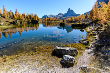 Reflections. High mountain larch in autumn dress. Lake Federa, Dolomites