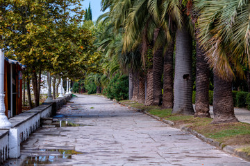 an empty beach path