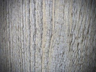  Wood texture
