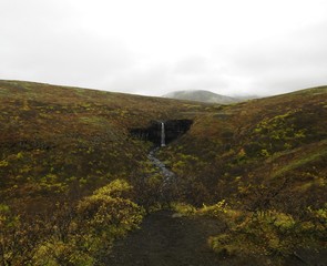 Fototapeta na wymiar Entre montagne et océan, volcans et Fjord, faune et Flore d'Islande