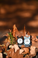heure temps horaire changement hiver ete travail chomage automne climat meteo feuille brun soleil