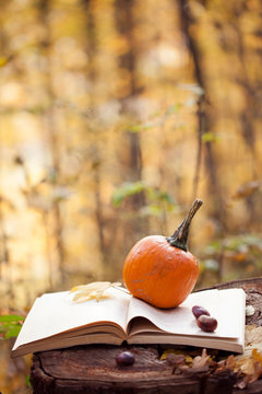 pumpkin - autumn composition with pumpkin and book