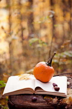 pumpkin - autumn composition with pumpkin and book