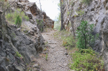 Path. Hiking trail area of Chillapajaros, in Montanejos (Castellon - Spain). Natural and beautiful landscape. Climbing zone. Overcast day. Mountain of limestone rock