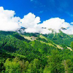 Mountain peaks. Mountain green landscape