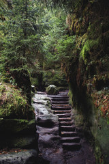 Treppe in den Schluchten im Elbsandsteingebirge