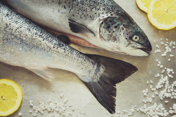 Two salmons on metalic grey background