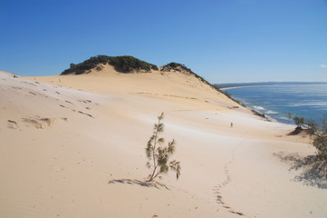 Carlo Sand Blow