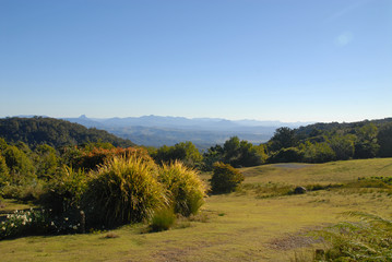 Fototapeta premium View of Green Mountains Section in Lamington National Park from O´Reilly´s