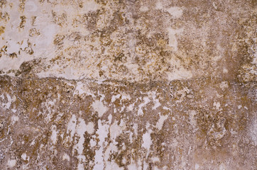 Unhealthy mold damaged walls, ceilings and Floors