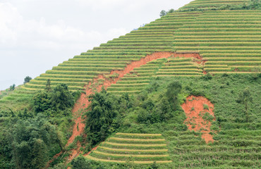 Land slide or erosion on rice terrace in Sapa
