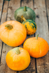 Autumn Pumpkin Thanksgiving Background - orange pumpkins over wo