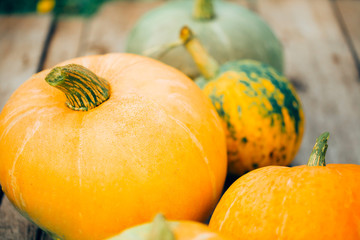 Orange pumpkin, close-up, grey wooden background