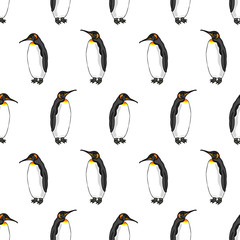 Obraz premium vector seamless pattern of penguin on white background. Illustration of bird Emperor penguins