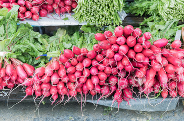 Freshly harvested, purple colorful radish in market.