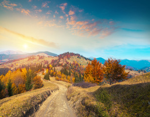 Colorful autumn landscape in the mountain village. Foggy morning in the Carpathian mountains. Sokilsky ridge, Ukraine, Europe.