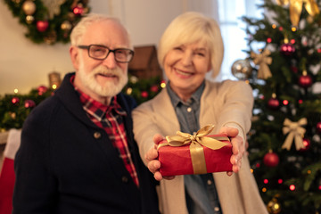 Obraz na płótnie Canvas senior couple holding gift