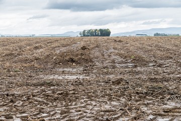 Traktor Spuren und Matsch auf einem nassen Acker, Bayern, Deutschland
Tractor marks and mud at a...