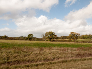 empty hill side scene in country with trees in distance and blue and clouded sky