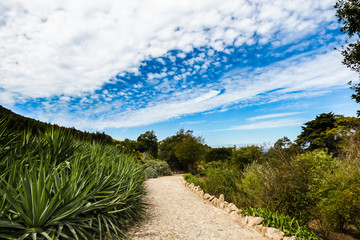 Stone path and forest at Monserrate Park and Palace in Sintra, Portugal
