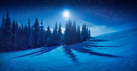 Fairy winter night in a mountain valley - 177756677