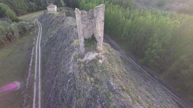 Castillo de Luzaga y chopera desde el aire