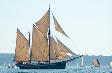 Voiliers aux fêtes maritimes de Brest 2016