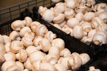 Mushrooms in shop