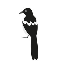 Magpie icon on the white background.