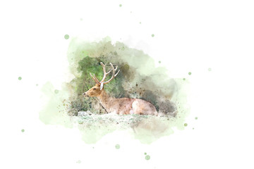 Fototapeta premium Abstract The loss of deer in the wild on watercolor painting background. 