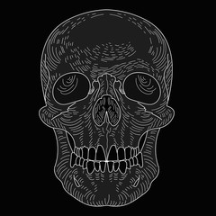 white skull vector art on a blackbackground