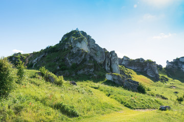 Fototapeta na wymiar Limestone rock on the Trail of the Eagle's Nests, Poland, Jura