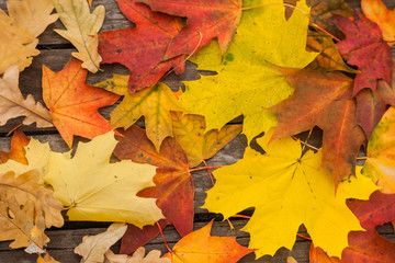Naklejka na ściany i meble autumn leaves on the old boards. background