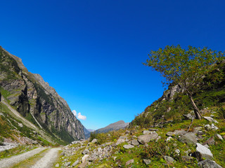 Berglandschaft in Tirol