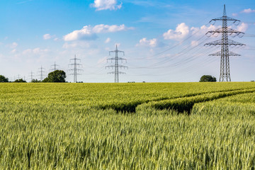 Stromtrasse entlang eines grünen Feldes