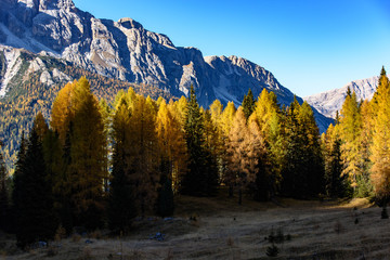 Golden larch reflections. Autumn Dolomites